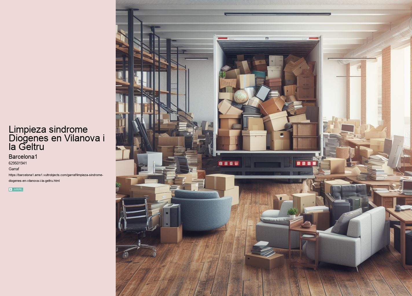 Limpieza sindrome Diogenes en Vilanova i la Geltru