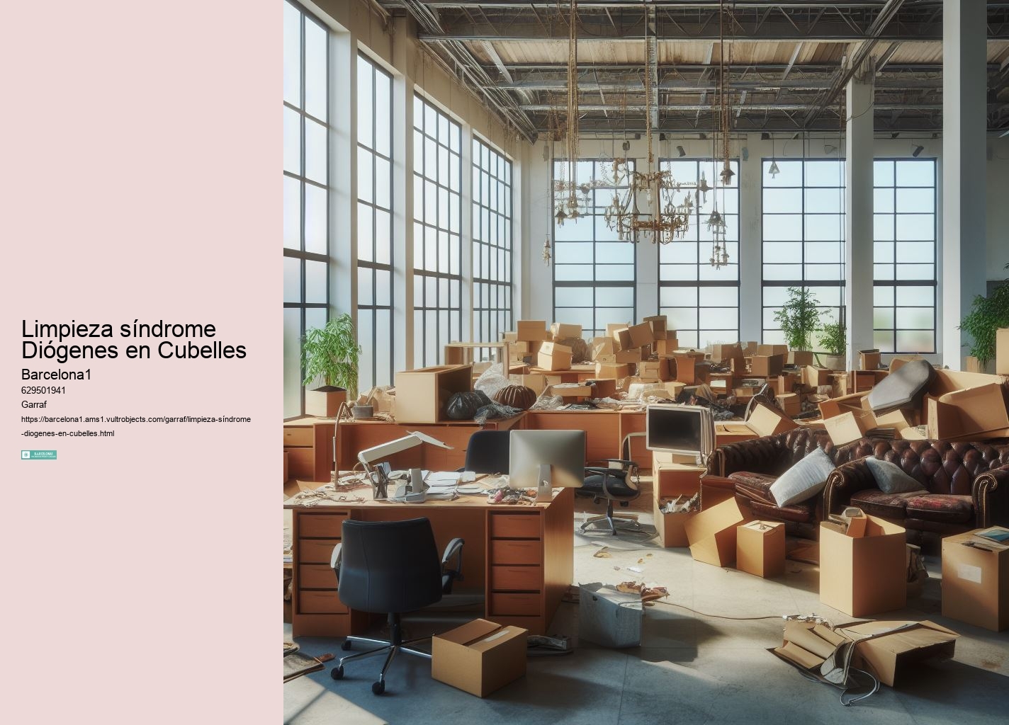 Limpieza síndrome Diógenes en Cubelles